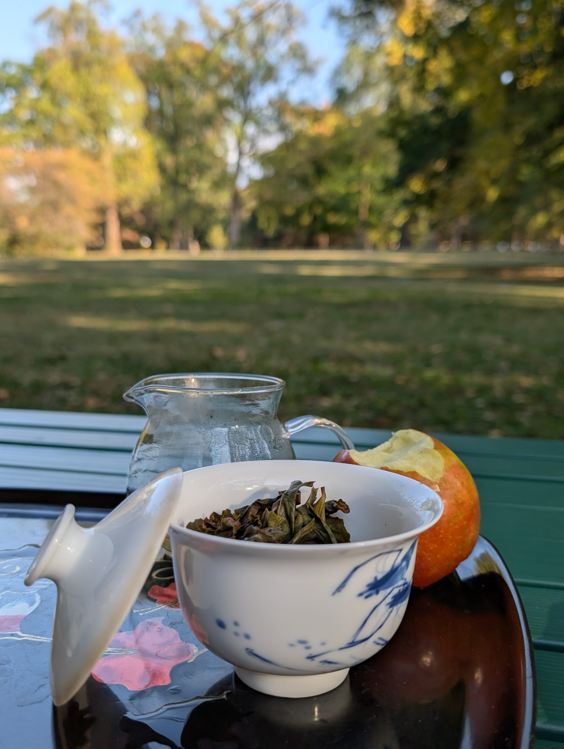 Open gaiwan between steeps and half eaten apple, Tower Grove Park in the background
