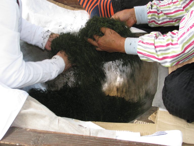 Gwan-hyang Dawan, making tea in a wok